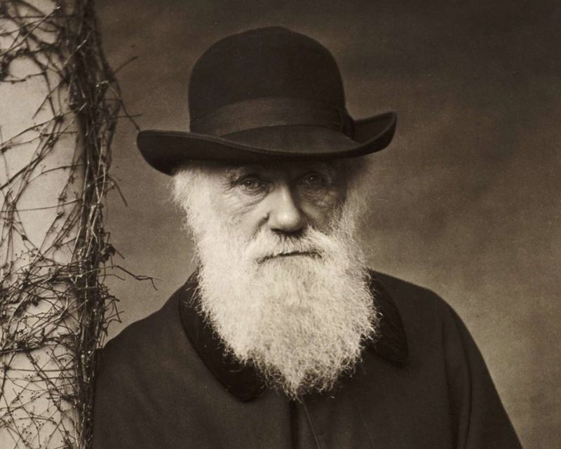 Charles Darwin popularizó la evolución, pero no tenía razón en todo
