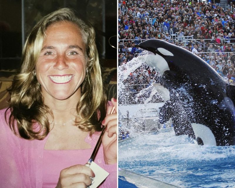 Inside The Sad Story Of Tilikum The Whale And SeaWorld Trainer Dawn